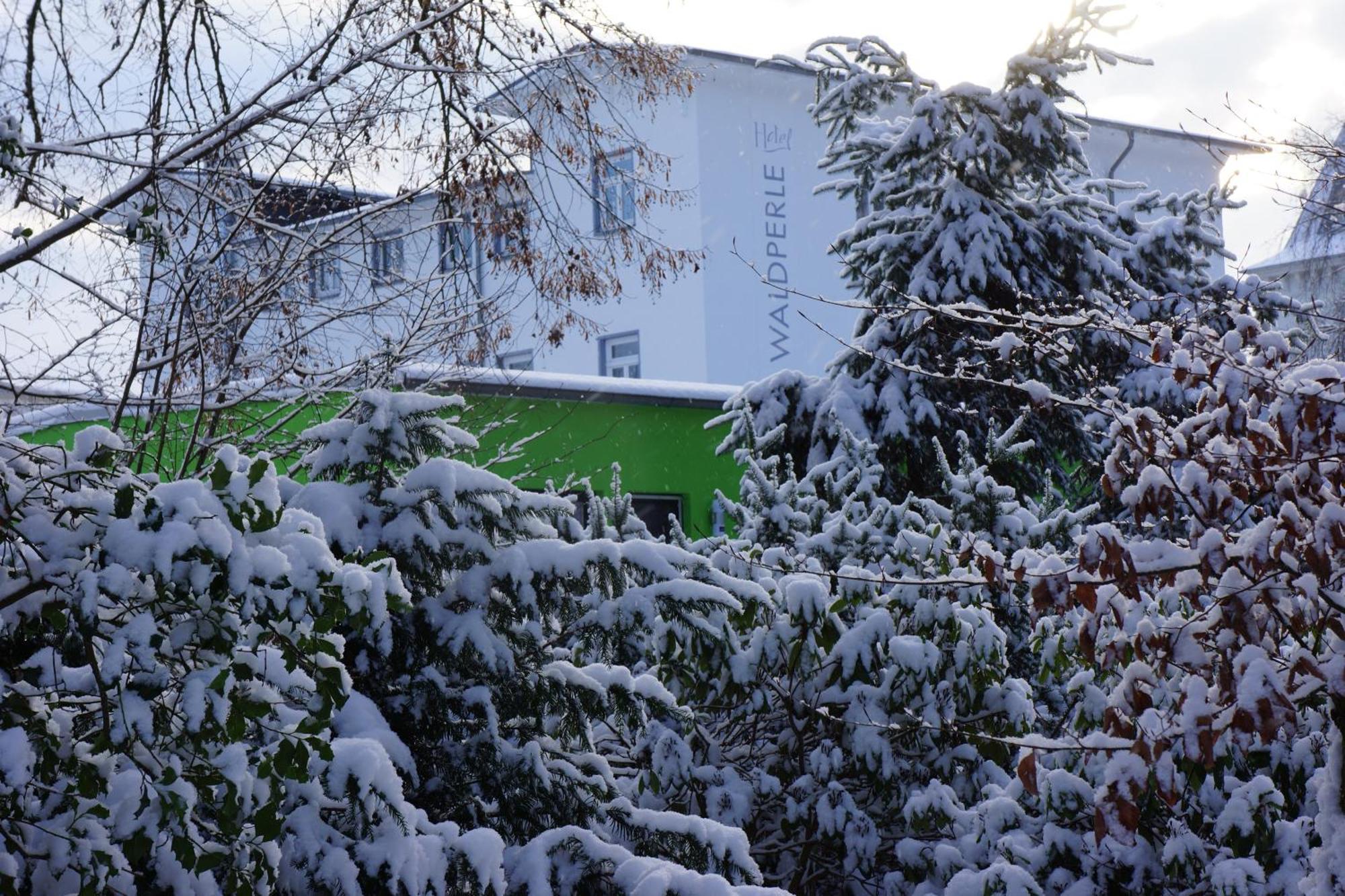 Hotel Waldperle Graal-Mueritz Extérieur photo