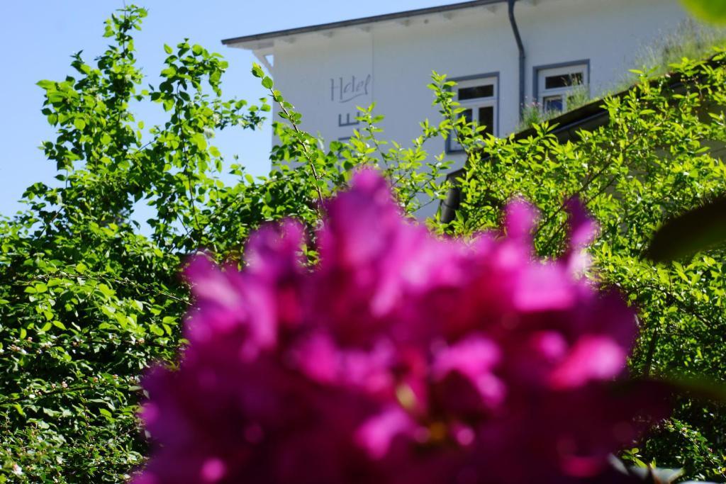 Hotel Waldperle Graal-Mueritz Extérieur photo